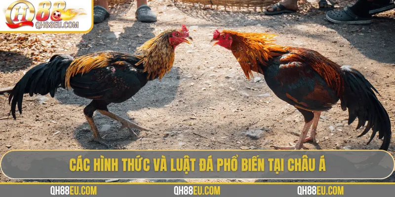 Các hình thức và luật đá phổ biến tại châu Á